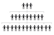 Organigramme
