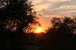Coucher de soleil en campagne