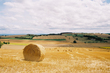 Chaumes aux environs de Charroux