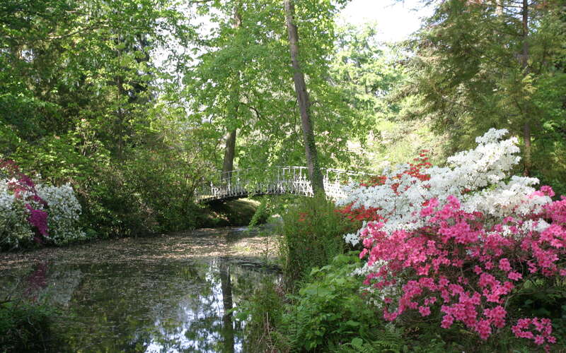 Arboretum de Balaine - Villeneuve-sur-Allier (Afficher en grand)